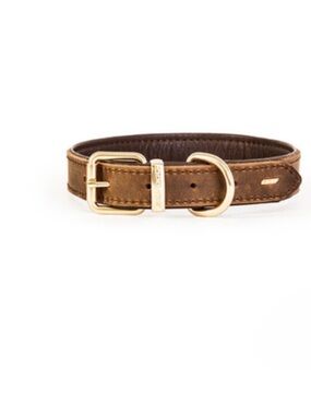 NWT Ezydog Leather Dog Collars (4 sizes avail)